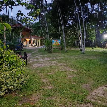 Отель Eco Sitio O Labirinto Do Fauno Москейру Экстерьер фото