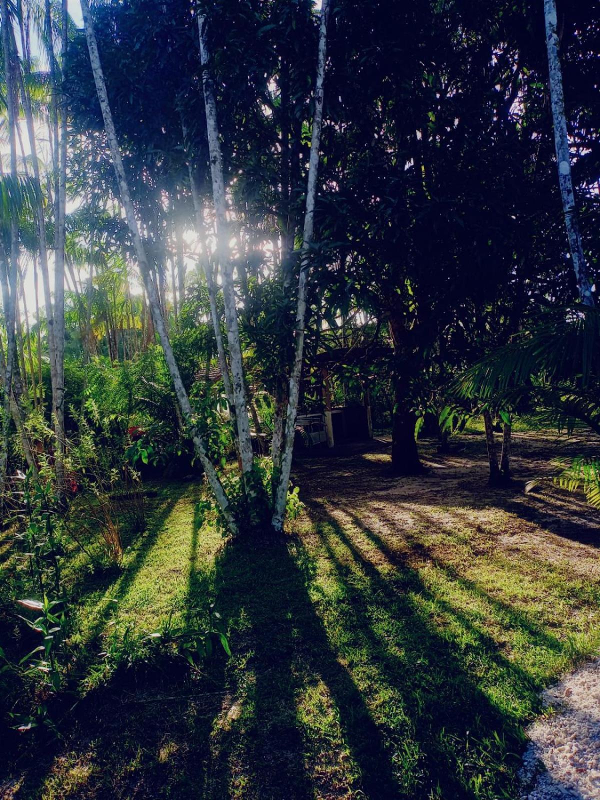 Отель Eco Sitio O Labirinto Do Fauno Москейру Экстерьер фото